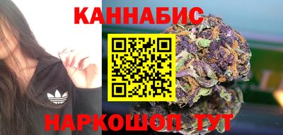 стаф Пенза