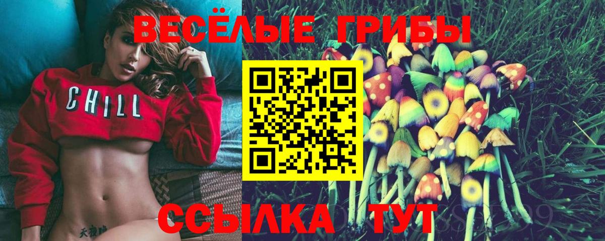 Галлюциногенные грибы GOLDEN TEACHER  Вход с VPN  Алексеевка 